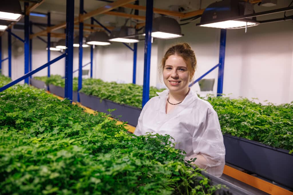 Новопортовская теплица, где собирают урожай теплолюбивой зелени, даже когда за окном минус 50 градусов