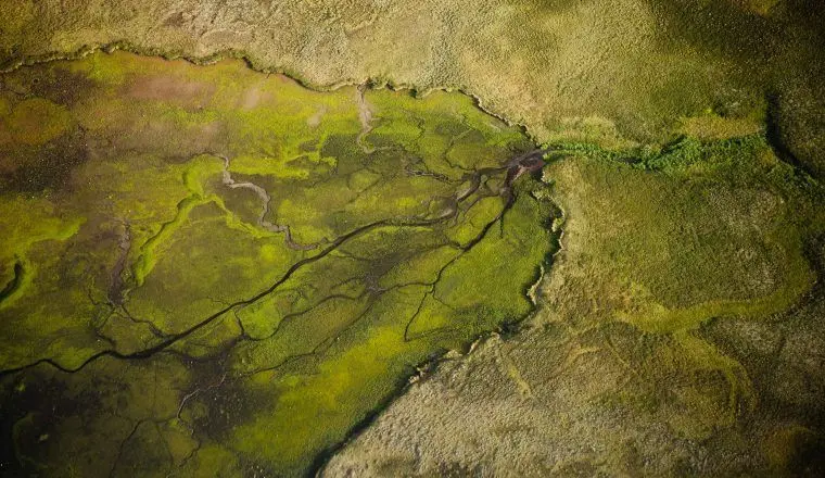 Как хорошо вы разбираетесь в экологии?