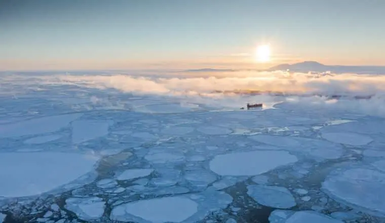 Кем бы вы были в Арктике?