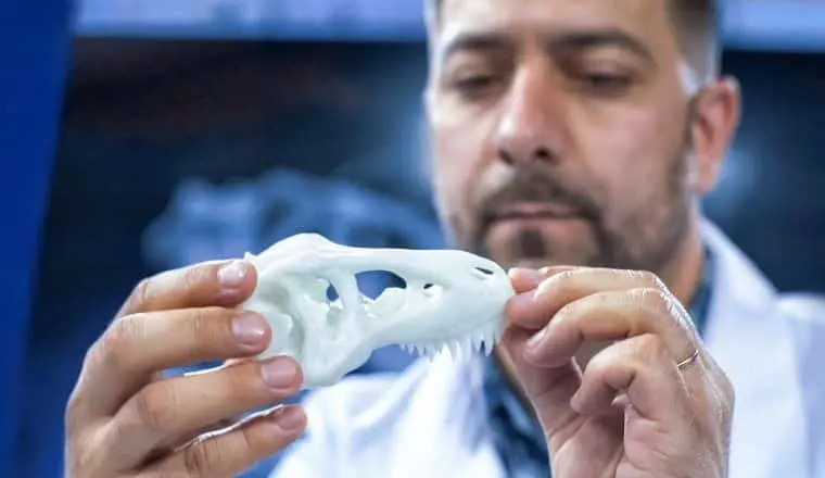 Какие тайны скрывает мезозой, и что вы знаете об эпохе динозавров?