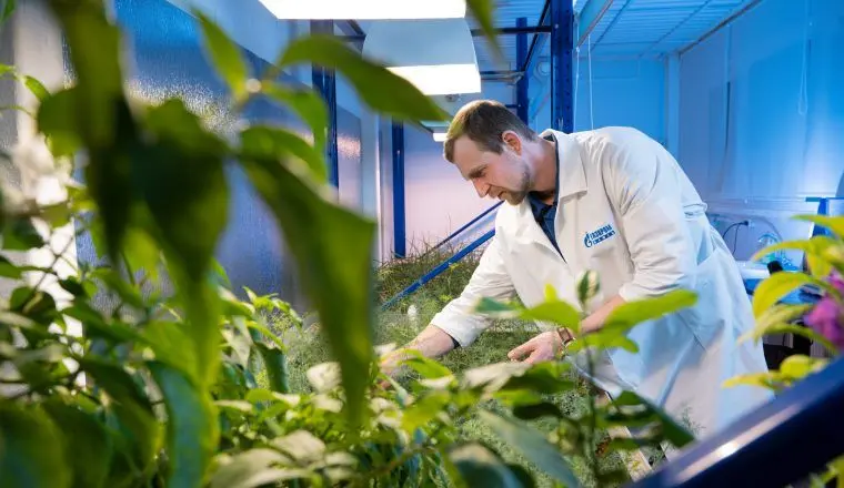 Как энергетики за&nbsp;природой &laquo;подсматривали&raquo;: тест про жуков, листья мяты и&nbsp;гениальные изобретения