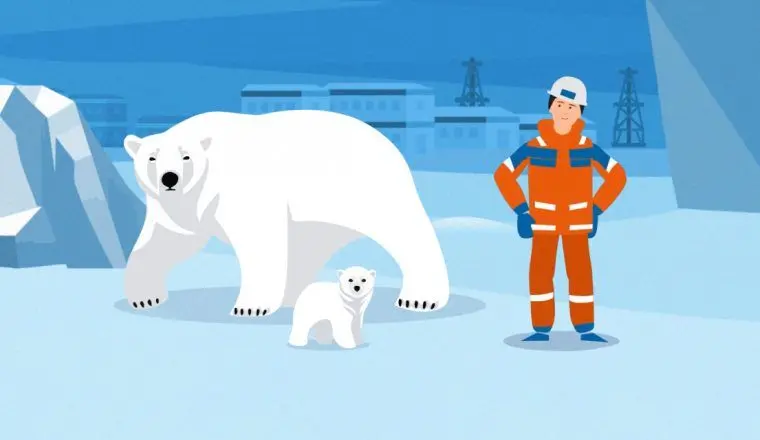 Как правила арктического добрососедства помогают нефтяникам и главному хищнику Заполярья жить дружно