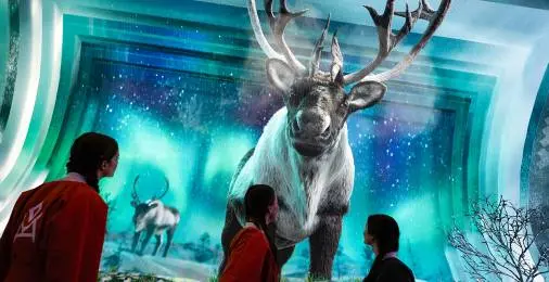 Петербургский международный экономический форум своими глазами: видеоэкскурсия