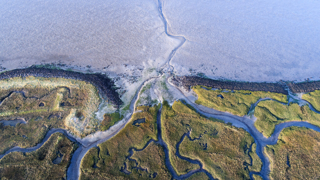 Устье реки, впадающей в море