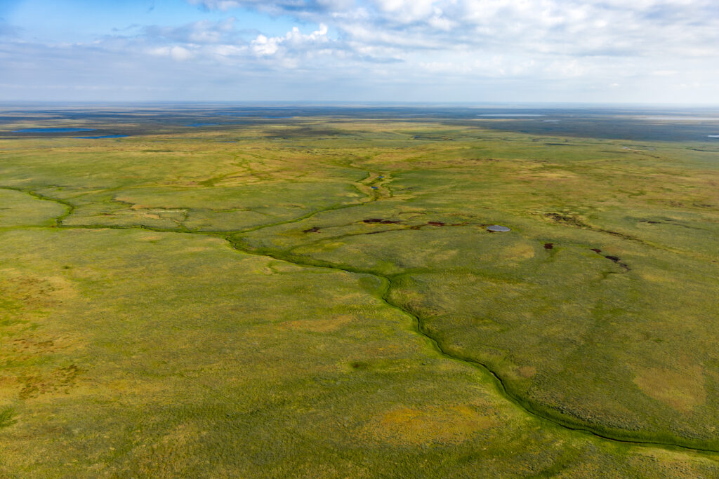 В районе мыса Харасавэй