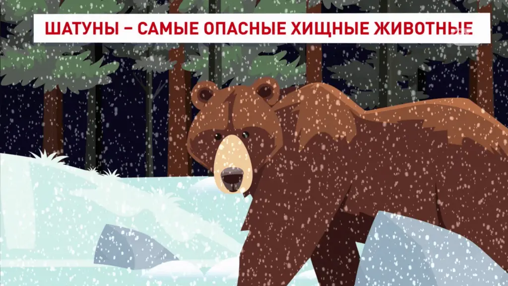 Шатуны — самые опасные хищные животные