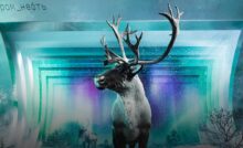 Северный олень — герой творческого манифеста «Открывая тундру», который «Газпром нефть» представила на ПМЭФ-2024