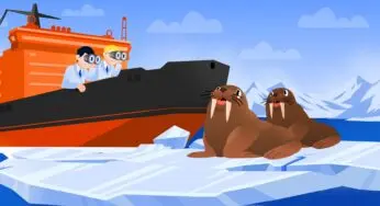 Зачем ученые следят за моржами из морских и летающих лабораторий
