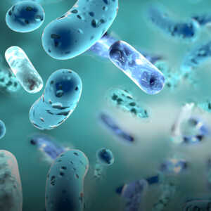 Зачем прожорливых бактерий «устроили» на работу на нефтеперерабатывающий завод