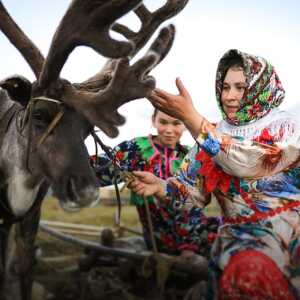 Узнайте, с&nbsp;кем из&nbsp;обитателей Арктики вы&nbsp;бы сошлись характерами