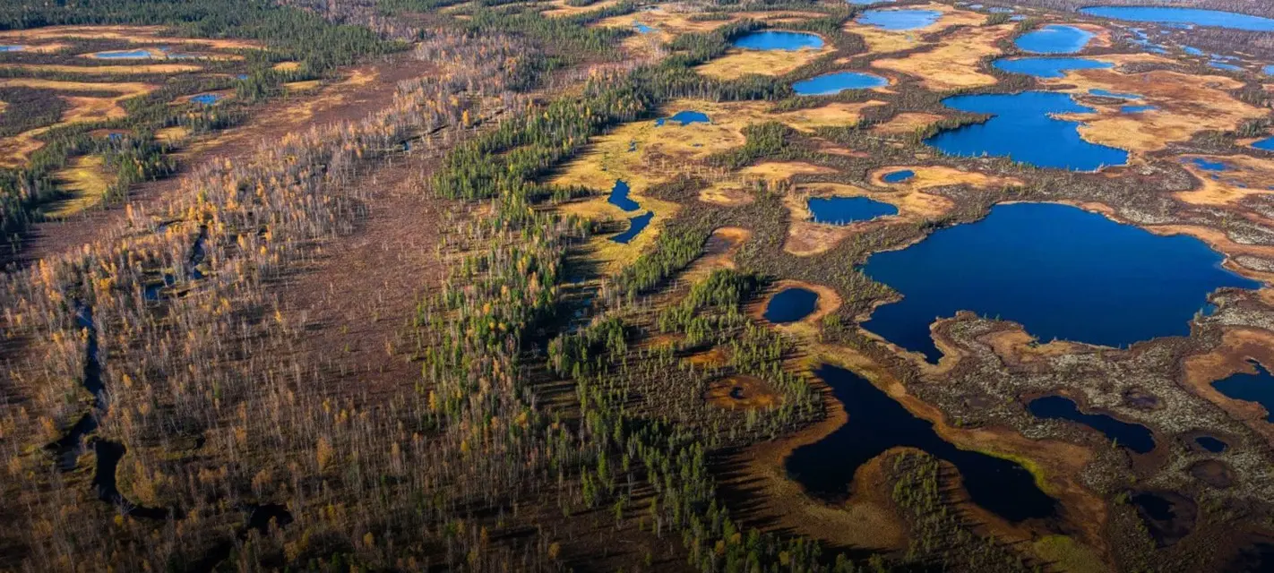 Болота на Севере России