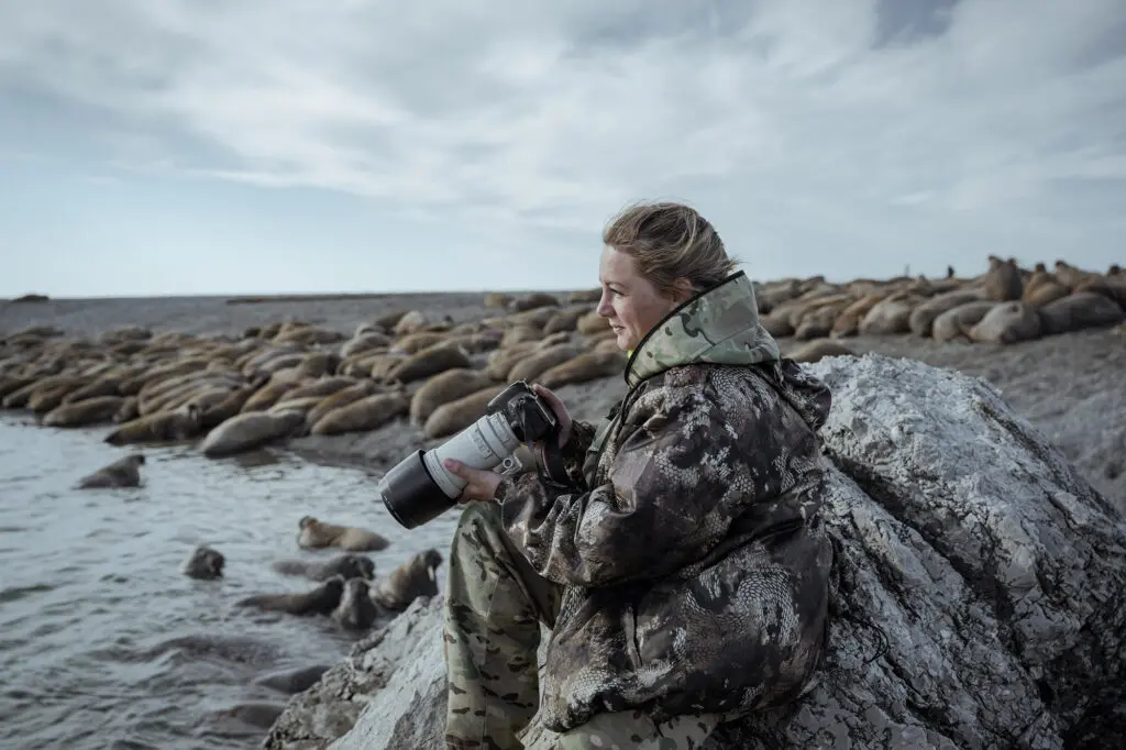 Эколог проводит фотосъемку и мониторинг моржей на острове Матвеев