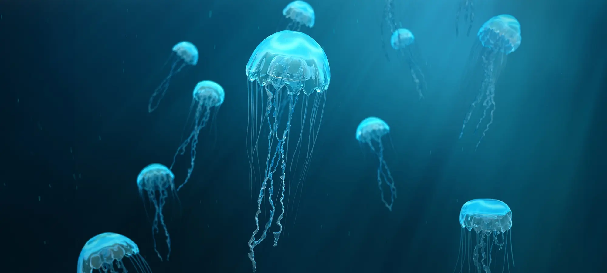 Светящиеся медузы