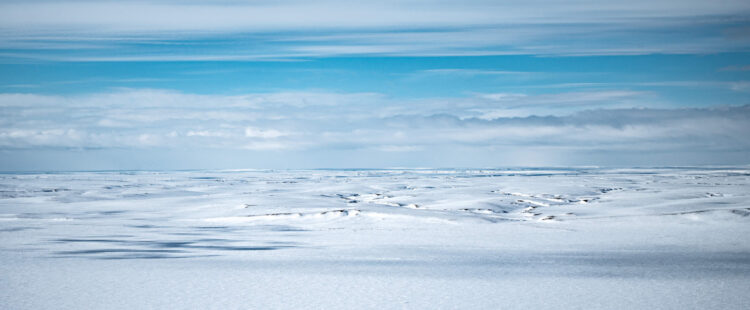 Заснеженные поля в зоне вечной мерзлоты