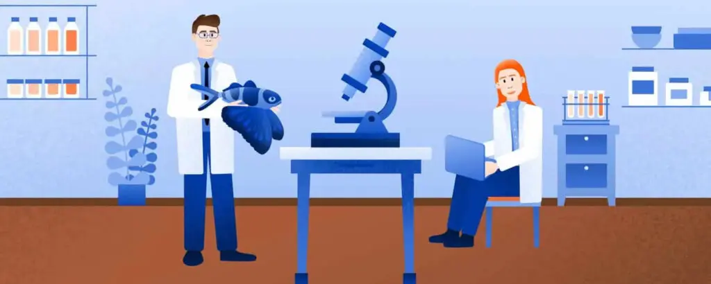 Ученые исследуют окаменелую бабочку