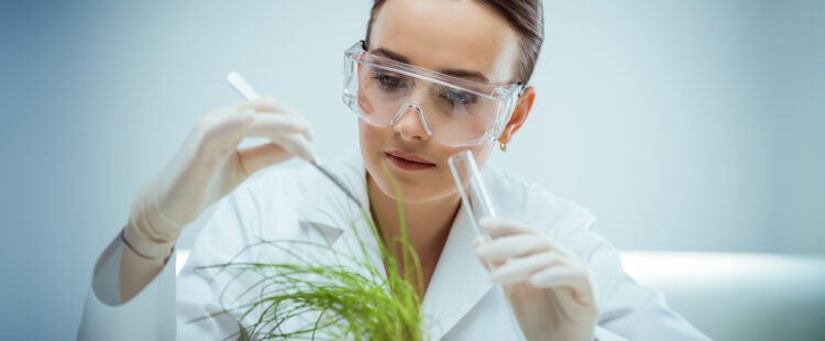 Изучение растений в лаборатории