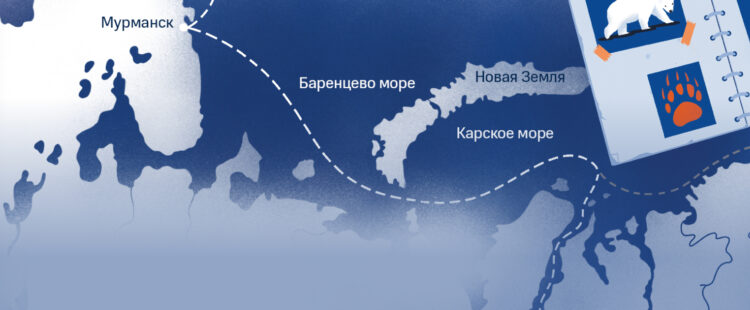 Ледовое путешествие — животные Северного морского пути