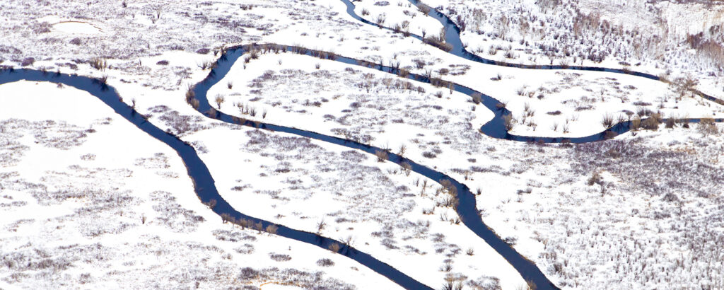 Сибирские болота