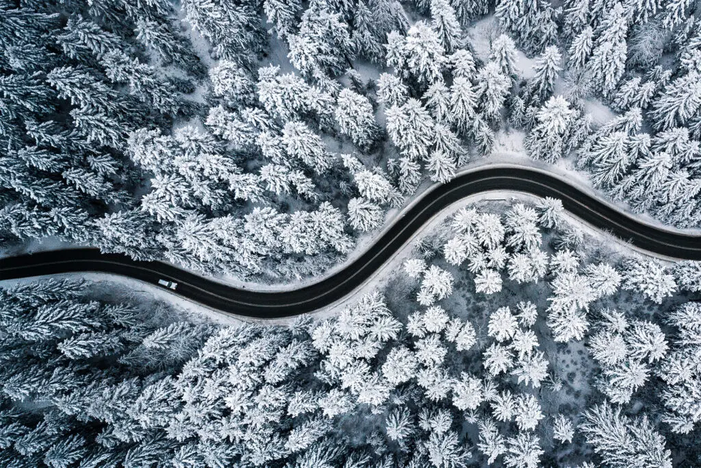 Асфальтированная дорога в зимнем лесу