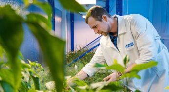 Откуда в Арктике клубника, а на АЭС пальмы? Весенняя фотогалерея