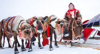 Как выглядят гонки на оленьих упряжках и зачем биатлонистам хорей: фото с главного праздника Крайнего Севера