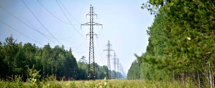 фото Россети Тюмень