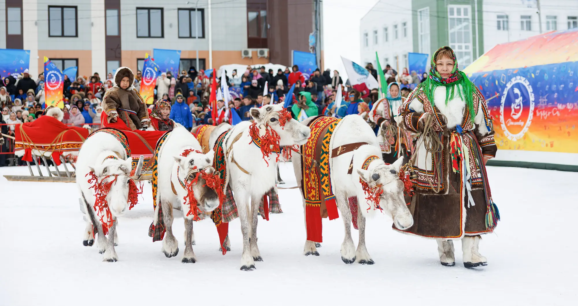 Украшенные оленьи упряжки и участники парада нарт