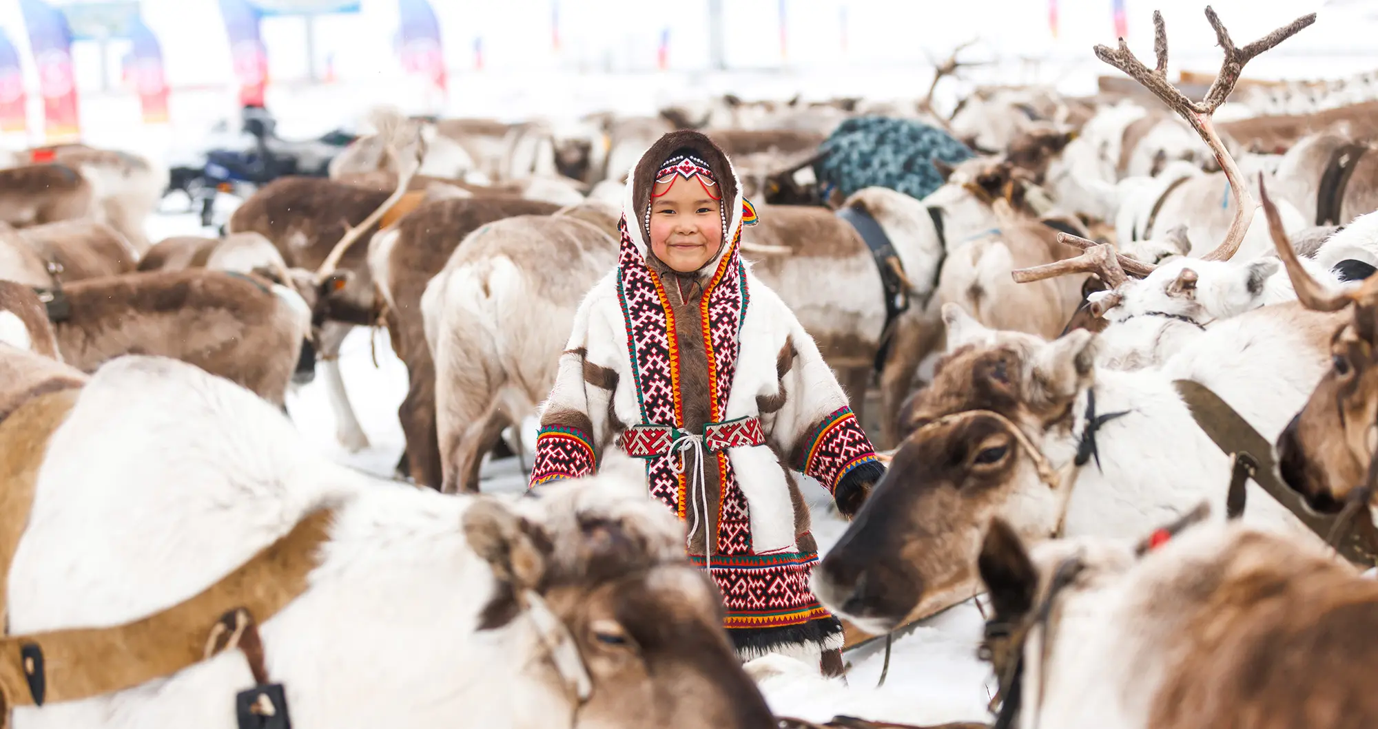 Ребенок с оленями на праздновании Дня оленевода