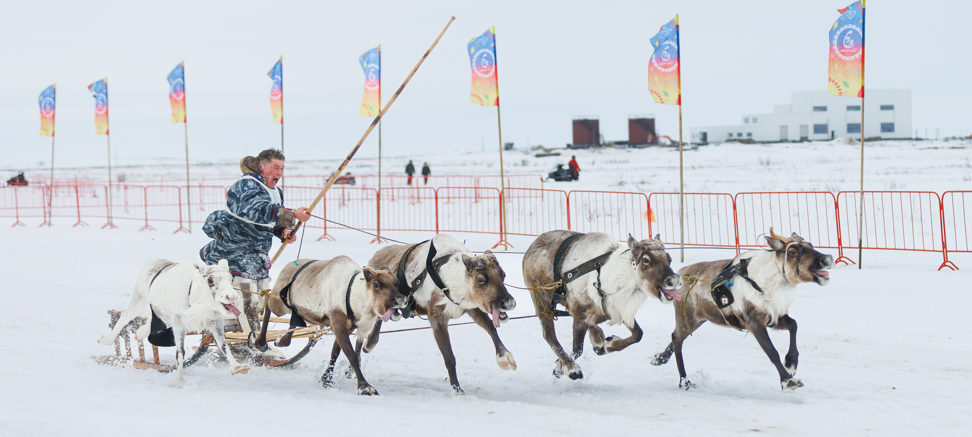 Участник гонки на упряжках подгоняет оленей