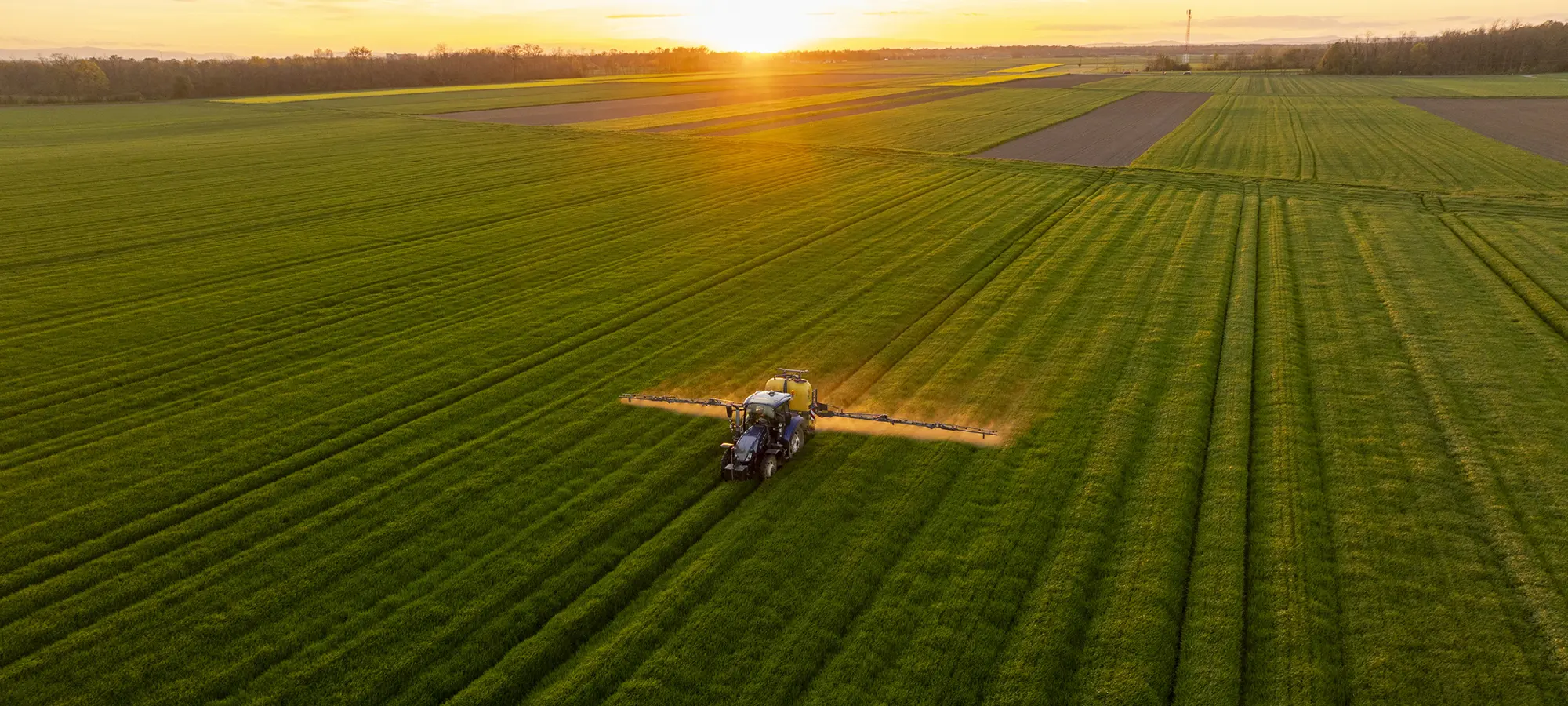 Комбайн работает на сельскохозяйственном поле