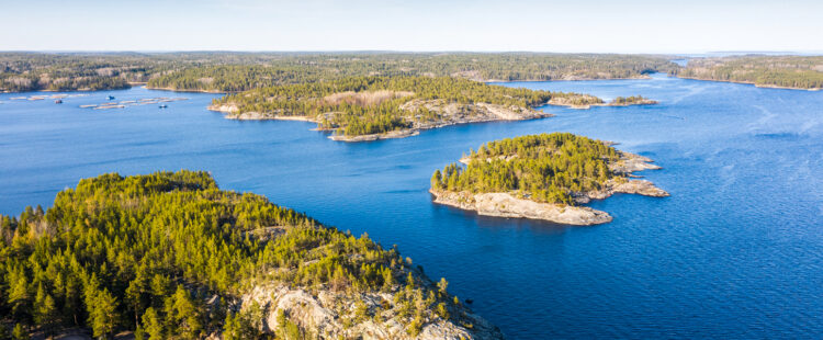 Фото iStock
